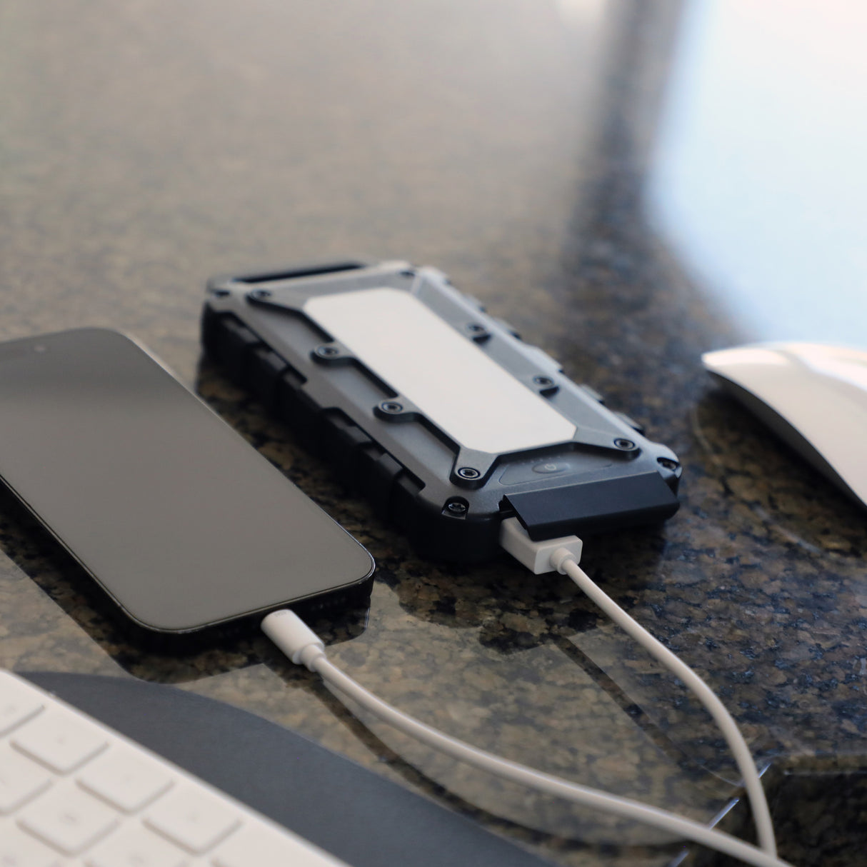 Lion Energy Power Bank - Cub (10,000 mAh (37Wh) 2 USB-A, 1 USB-C)